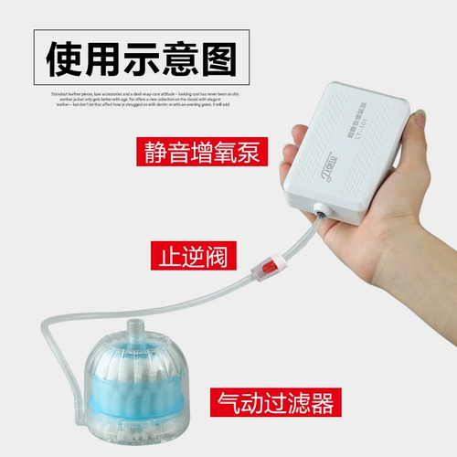 Sensen Small Filtering Equipment Aoxic Oxygen Fairy