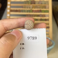 Shengshi Flower Little Mite One Shot 9789