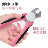 Поставки домашних животных имеют забавные ногти.