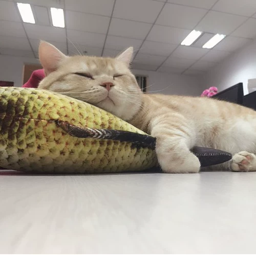 Мятные рыбки, подушка, игрушка, кот, домашний питомец, можно грызть, карп