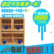 Chim bồ câu cung cấp thiết bị Bồ câu chim bồ câu đua chim bồ câu hộp chim bồ câu đua chim bồ câu phù hợp lồng lồng - Chim & Chăm sóc chim Supplies
