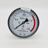 Heshan Yushan cụ trục chống sốc đồng hồ đo áp suất YN100Z áp suất nước phong vũ biểu đo áp suất dầu 1.6mpa máy đo chân không