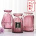 [Ba bộ] bình thủy tinh đơn giản cây thủy canh hoa khô hoa lily bình hoa trang trí phòng khách trang trí - Vase / Bồn hoa & Kệ chậu nhựa trồng cây hình chữ nhật Vase / Bồn hoa & Kệ