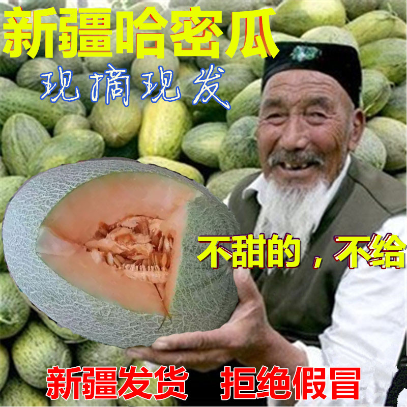 新低 全国最好吃的哈密瓜 约7斤：新疆火焰山 西州蜜25号 2个
