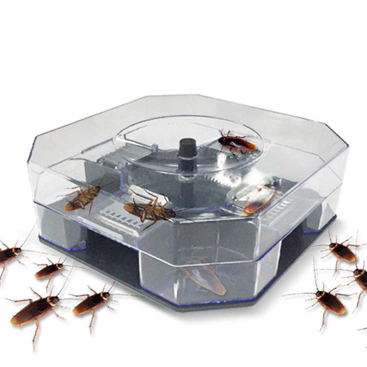 杀蟑螂盒 捕蟑螂诱捕器 3包诱饵