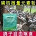 Pigeon thuốc phốt pho canxi nguyên tố vi lượng bột kết hợp thư pigeon phốt pho bột canxi - Chim & Chăm sóc chim Supplies