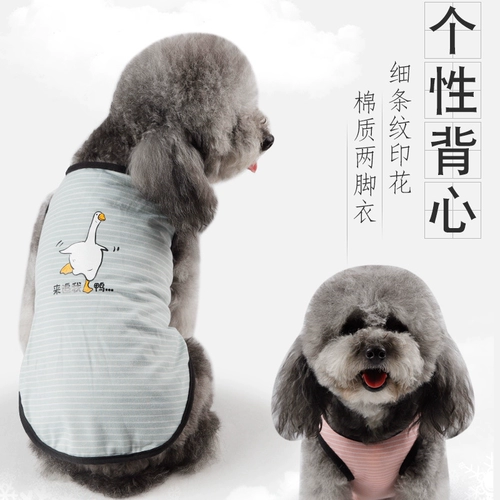 Личность домашних животных тонкая двухфутов