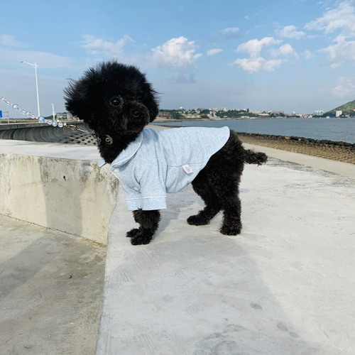 Собачья одежда пижам пижамы плюшевые бишон -бишон боевой щенок маленький собака лето кот весна лето осень Осень чистый хлопок тонкий стиль