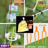 Nguồn cung cấp vườn áp lực dây leo dưa chuột gắn vine clip treo vine clip ghép clip hỗ trợ vine clip nylon mảnh vỡ túi hạt giống chậu trồng cây