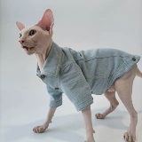 Рубашка для пиджаки для домашних кошек -Шаблон одежды для одежды, безволосой кошка, версия для кошачьего кошачьего кота с швейным видео