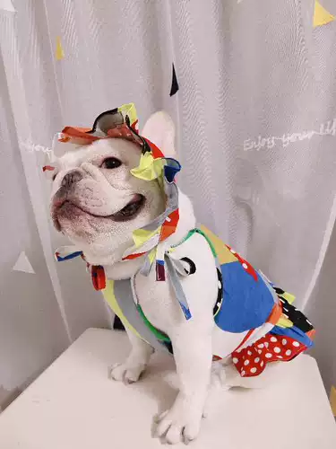 Платье-комбинация, летний ремень, шаблон, домашний питомец, делается под заказ