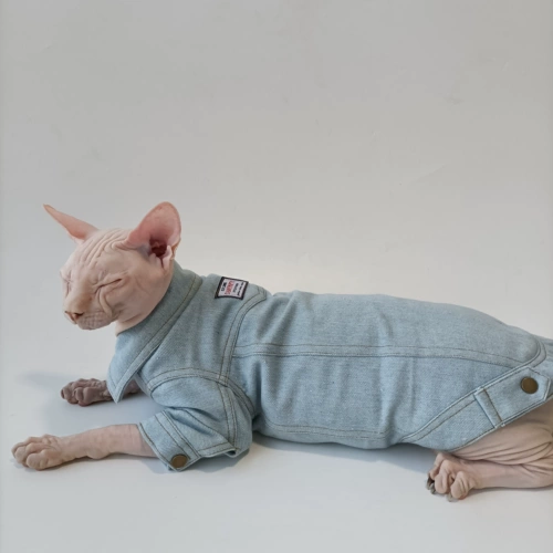 Рубашка для пиджаки для домашних кошек -Шаблон одежды для одежды, безволосой кошка, версия для кошачьего кошачьего кота с швейным видео