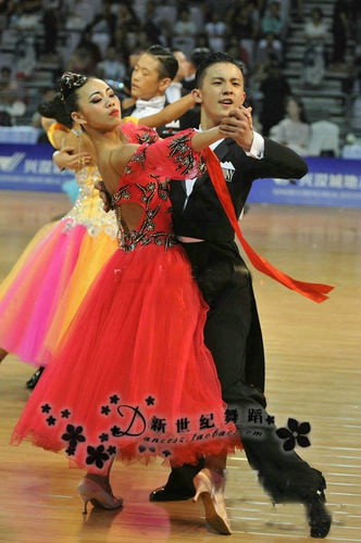 Новая современная танцевальная юбка, национальный стандартный танцевальный костюм, концертный костюм, 2016 Spring Pufpy Blouser длинная юбка танцевальная юбка