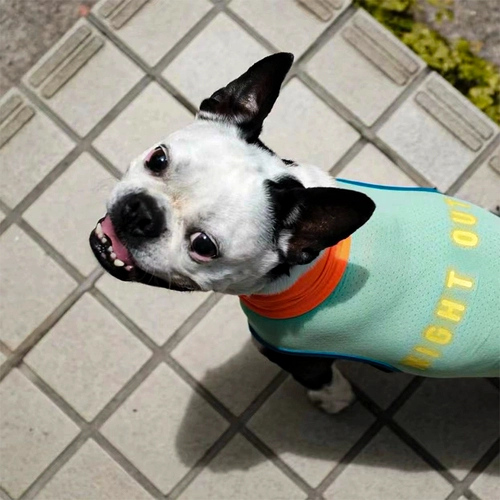 Специальное предложение очистка японская одежда для домашних животных летняя холодная одежда собака и кошачья универсальная маленькая и средняя собака быстро сухая ночная одежда