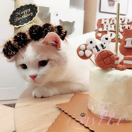 День рождения маленькая шляпа, средняя кошка на день рождения собаки по случаю дня рождения (не продается ни на одном выстреле)