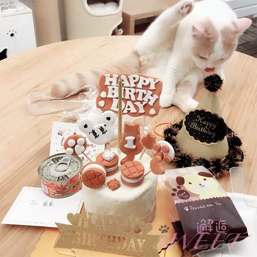 День рождения маленькая шляпа, средняя кошка на день рождения собаки по случаю дня рождения (не продается ни на одном выстреле)