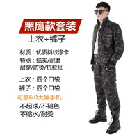 Комплект, штаны, ремень, черный орел