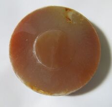 Ювелирные изделия и полуфабрикаты 深山美玉龙陵黄龙玉 精选手镯芯