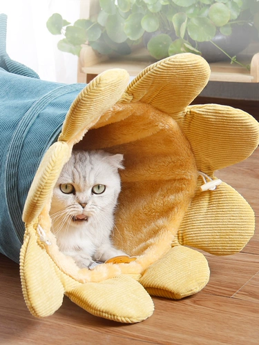 Складная игрушка, туннель, палатка, кот, домашний питомец