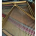 Nhật Bản ban đầu sử dụng grand piano Kawaii KAWAI Kawaii NO500 grand piano Factory trực tiếp - dương cầm đàn piano trắng dương cầm