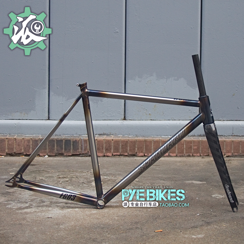 steel frame carbon fork