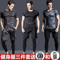 Cá tính quần đào tạo phù hợp với t-shirt quần áo chuyên nghiệp mồ hôi thấm vòng cổ tập luyện quần áo nam bóng rổ mùa hè yoga áo chặt chẽ quần áo tập yoga adidas