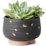 Керамический креативный черный цветочный горшок