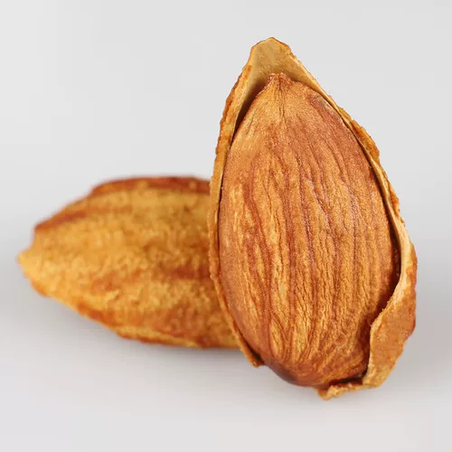 Новогодние Shell Almond Food NP Pap