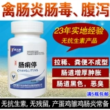 Регулировка пробиотиков зверя кишечных голубей куриных голубей