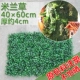 40x60 Crypto Milan Grass