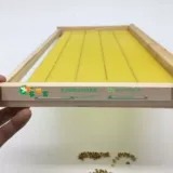 Пчелиные пчелы -Bee коробка коробки.