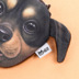 Tuần 8 Hàn Quốc Sáng Tạo Harajuku Wang Xingren Vải Coin Purse Plush Dog Coin Purse Ly Hợp Mèo Fan ví juno Ví tiền
