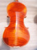 Nhạc cụ violin chuyên nghiệp phổ biến hổ tự nhiên mô hình thủ công gỗ mun phân loại violin cấu hình hoàn chỉnh - Nhạc cụ phương Tây giutar Nhạc cụ phương Tây