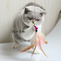 Lujia Pet дразнитель кошачьи палочки, устойчивые к кусочкам куриный перо, игрушки из перьевого стального корпуса, самообслуживание кошек