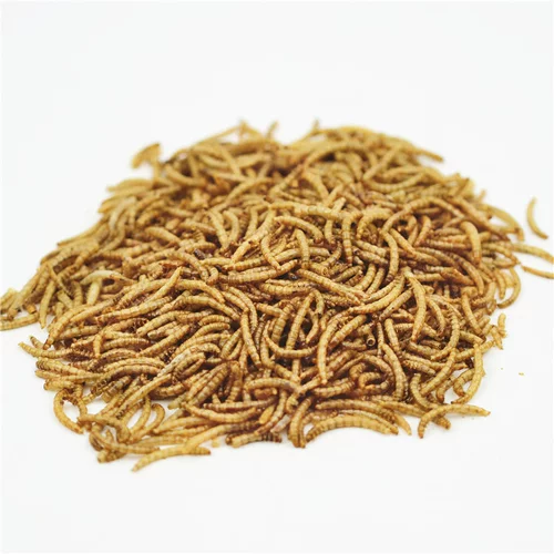 10 Юань 3 упаковки ароматного хлебного червя сухожили желтый порошок червь зерно зерно 50 г ходьба продукты черепаха пища