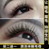 Beauty Eyelash Dinh Dưỡng Chất Lông Mi Lông Mày Tăng Trưởng Nhà Máy Lỏng Mỏng Dày Curling Thuốc Mỡ Lông Mi Tăng Trưởng Nữ mascara perfect diary Kem Mascara / Revitalash