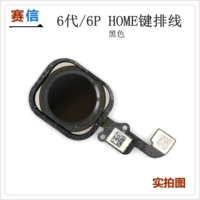 6p 6p 6p Back Back Machine