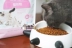 Nước sốt mèo nhà Royal Canin Bánh sữa mèo hoàng gia BK34 Mèo miễn dịch thời kỳ sinh sản mèo cái chủ yếu là thức ăn 2kg thức ăn mèo whiskas Cat Staples