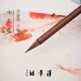 Ханьбифан Сяобэйвэй (длина передней части 1,8 см) может использоваться для написания небольших обычных рукописей и обладает хорошей гибкостью при подписании пейзажей.