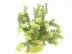 Phun nước tường cây hoa nhân tạo - Hoa nhân tạo / Cây / Trái cây Hoa nhân tạo / Cây / Trái cây