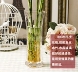 Современная простота стеклянная цветочная бутылка богатая бамбуковая лилия гидропоновое цветочное стекло прозрачное домашнее мебель