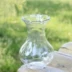Hoa thủy canh, bình thủy canh, củ lục bình, chai màu xanh lá cây, chai nước, thủy tinh hạng nhất - Vase / Bồn hoa & Kệ Vase / Bồn hoa & Kệ