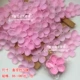 Розовый -5 см Пяти -Ведоотюр -Продолжительный порошок Чжунчжонга