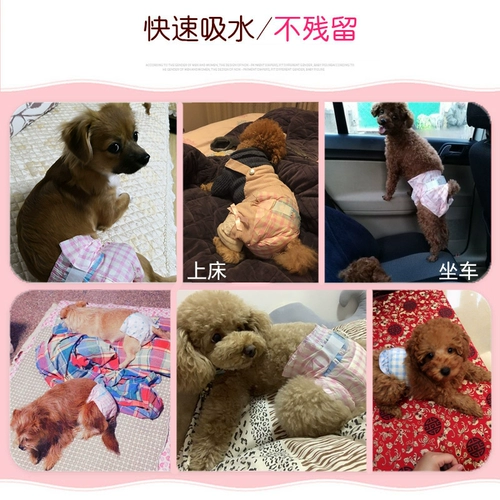 Физиологические штаны для собак, моча, без мокрой суки, мужская собака посвященные подгузники, домашние животные, маленькая менструальная тетя, тетя, защитная плюшевая девушка