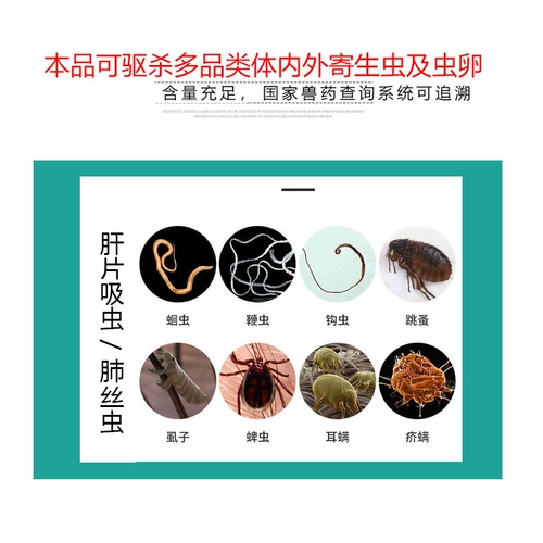 Ветеринарный порт, свинья, корова, овца -дорокцинистский авиоксил, хлороликсильный йод, таблетка натрия, таблетка печени, насекомые, клещи и насекомые в организме