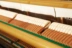 Nguyên bản Nhật Bản nhập khẩu Kawaii sử dụng đàn piano dọc kawai BL31BL51 BL61 BL71 Kawaii - dương cầm piano co dương cầm