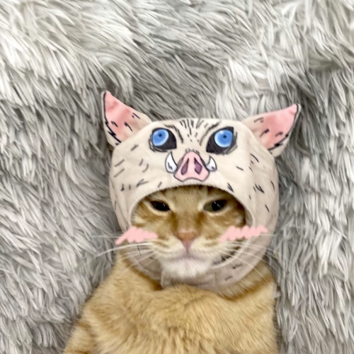 Призрак Drouss Blade Pingyi, Pingyi, помогающий питомцам, котенок, плюшевая шляпа с головой, заправка