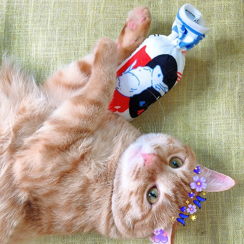 Милая мятная подушка, плюшевая реалистичная игрушка, белый кролик, домашний питомец, кот