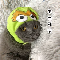 Кунжутное масло, шлем