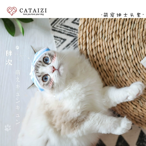Pet маленькие внутренние брюки Голова с синими и белыми полосками Fat Secondary Cat обеспечивает маленькую собаку милая шляпа